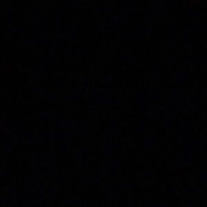 Meet your Posher, Gavin